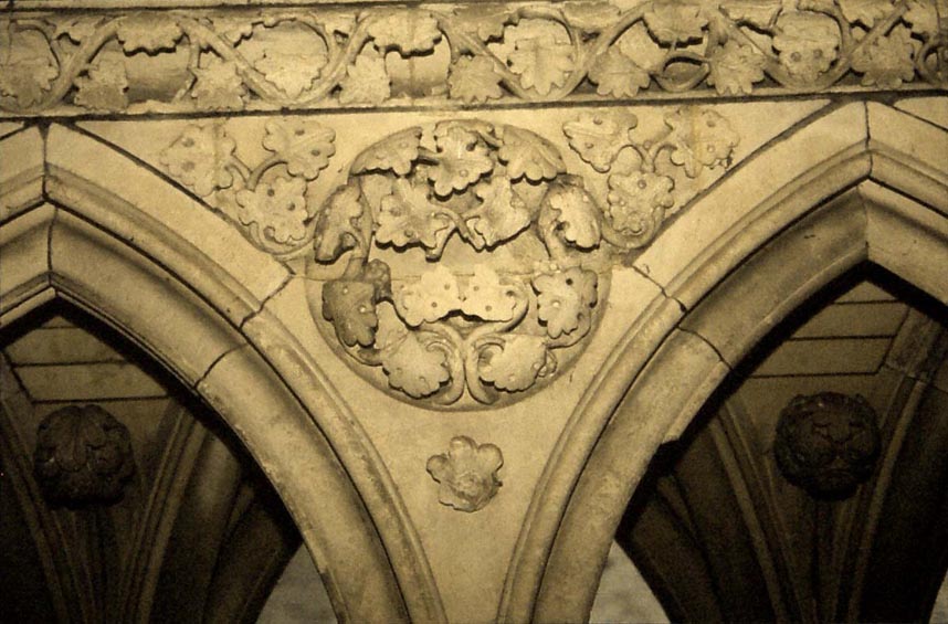 Cloitre gothique du Mont Saint Michel: coinon